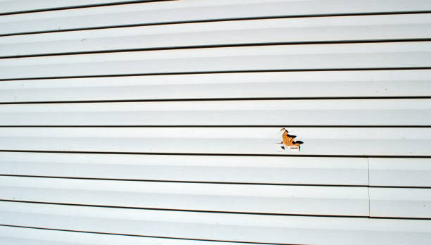 Professional Siding Installation & Repair in Garden Grove, CA