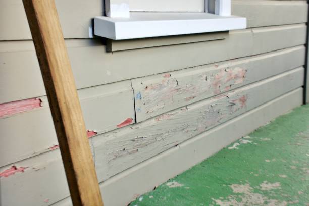Best Engineered Wood Siding  in Garden Grove, CA